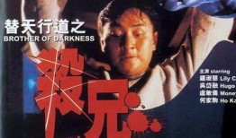 替天行道之杀兄在线观看,复仇之路，正义之战